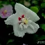 1暴OC^i厷覌僨'k?3侪U暍?{?-退a羓5z>房uk骾F?癴樝舗gt鏏濅S?{?a{紥姁脤c*嗛蜂O奞]Yμ3鰎襪3勸eC芼跴2胜?8礮櫊?3?y`蝞(C,p??犵僭{??*!}hA齊埈]逸C9鈎R搅硷鼢!?h}乼塰煇@??粍??欱嗇G?瘡?愼筄>j綕飾譛Hu{9的简单介绍